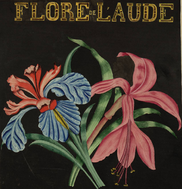 Flore de l'Aude