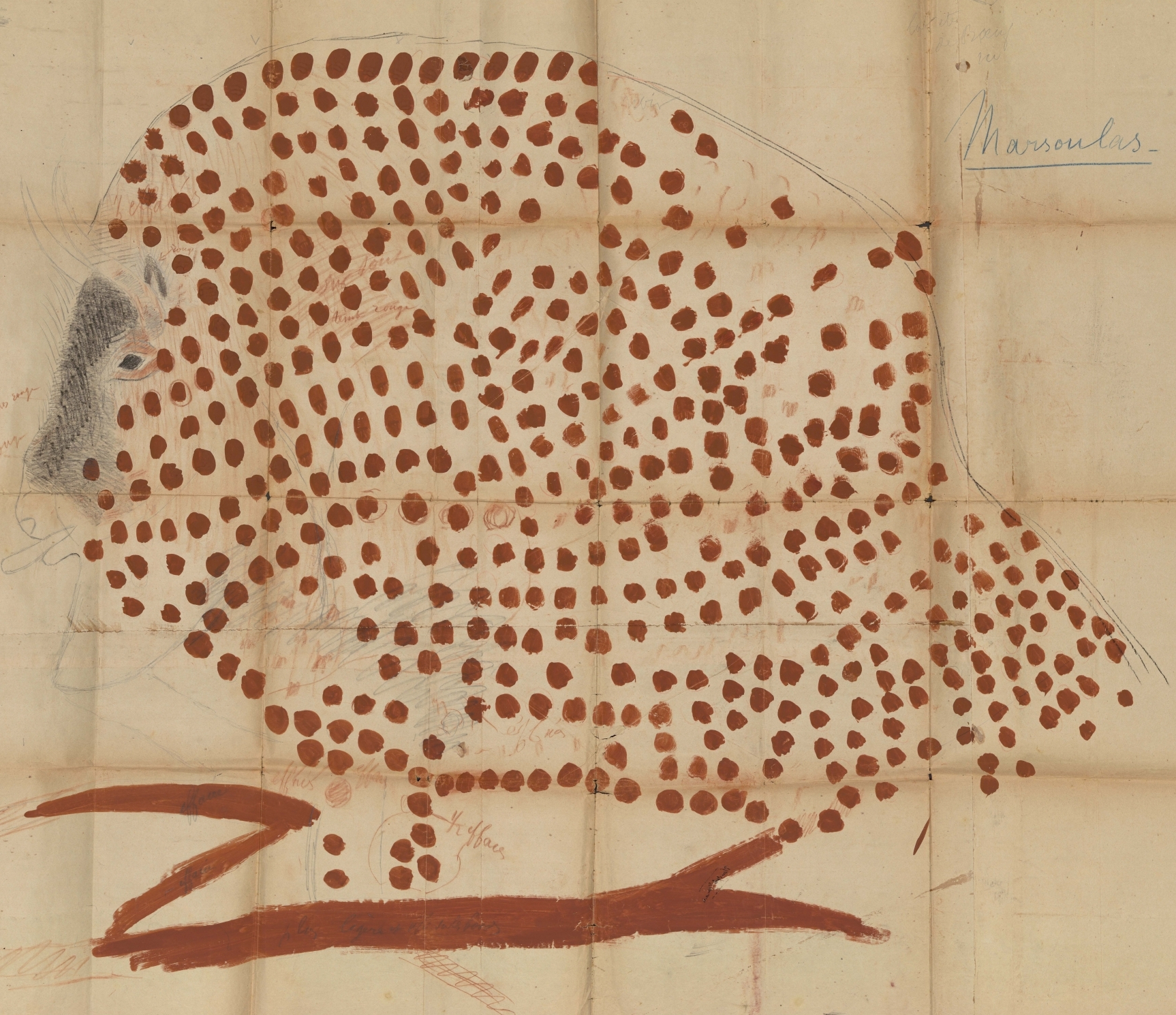 Relevé du « bison ponctué » de la grotte de Marsoulas, E. C., H. B.