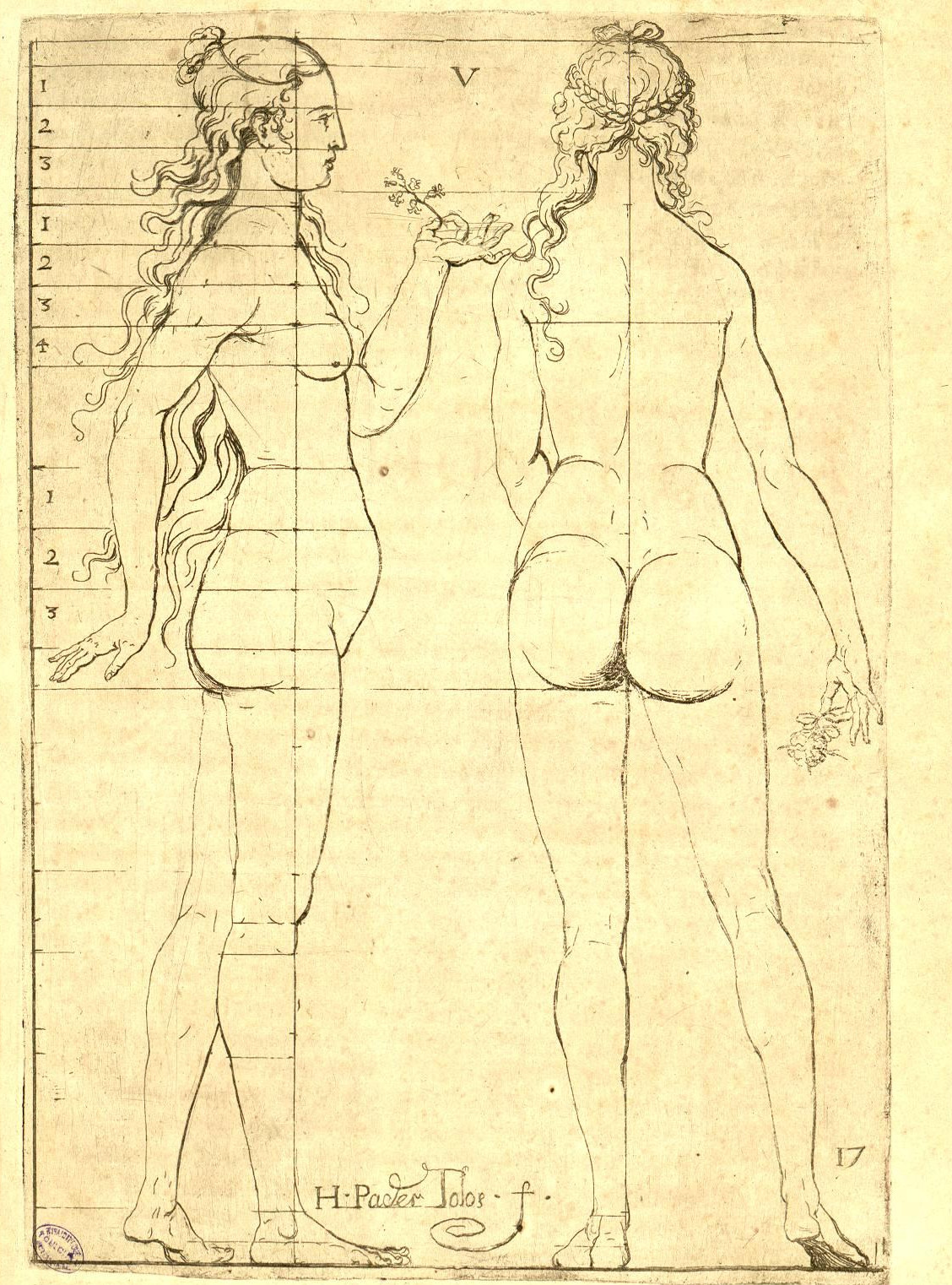 Illustration figurant dans le chapitre "De la proportion de la femme de dix faces"