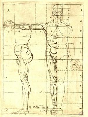 Illustration figurant dans le chapitre "De la proportion du corps humain de dix faces en longueur & largeur" Illustration figurant dans le chapitre "De la proportion du corps humain de dix faces en longueur & largeur"