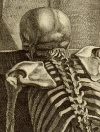 Médecine