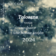 Voeux Tolosana